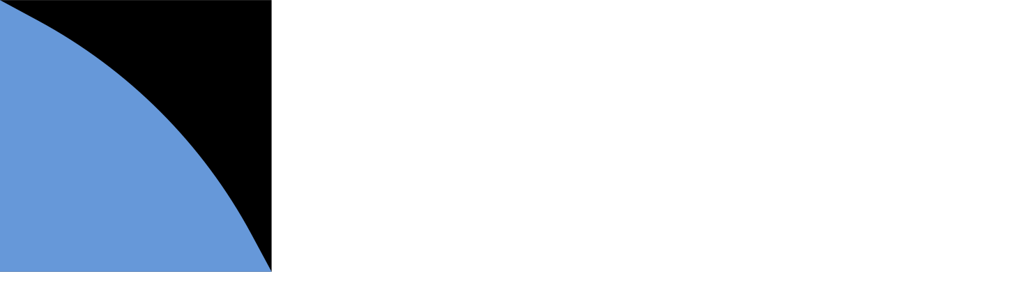 Caelum Space Systems Logo